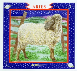 Aries