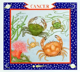 Cancer
