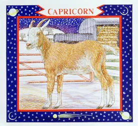 Capricorn