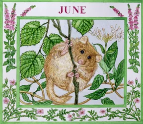 June