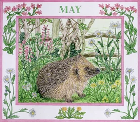 May
