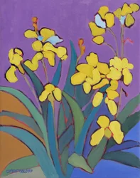 Summer Iris Garden, 2024