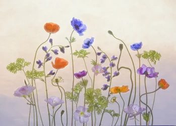 Ethereal Garden Blooms