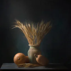 Golden Wheat Harvest