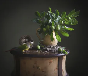 Green Parrot Still Life