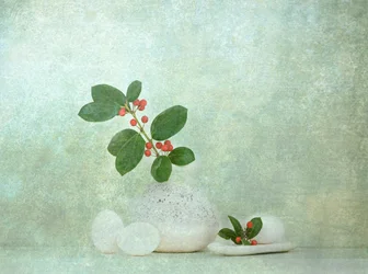 Natural Berry Stone Zen
