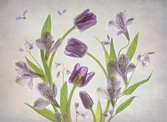 Soft Purple Flowers