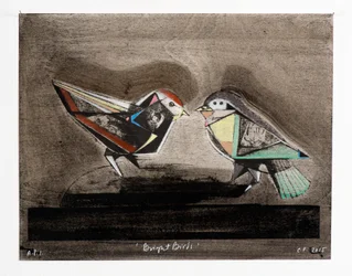 Bright Birds