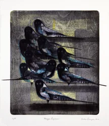Magpie Rhythm