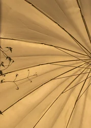 Composition - Lights
