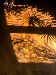Composition - Shadows, 2019