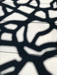 Composition - Shadows, 2021