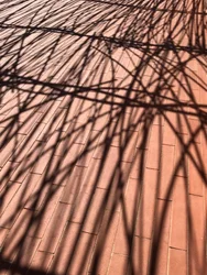 Composition - Shadows, 2021