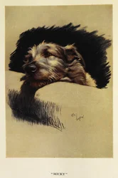 Micky, a Portrait of a Dog
