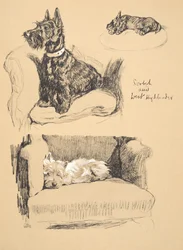 Scotch and West Highlander, 1930, Illustrations from his Sketch Book used for Just Among Friends, Aldin, Cecil Charles Windsor, later Published by Eyre and Spottiswoode Limited, 1934