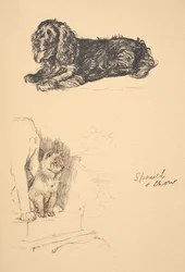 Spaniel and Chow, 1930, Illustrations from his Sketch Book used for Just Among Friends