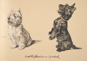 West Highlander and Scotch, Illustrations from His Sketch Book Used for 