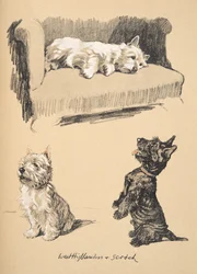 West Highlanders and Scotch, 1930, Illustrations from His Sketch Book Used for Just Among Friends, Later Published by Eyre and Spottiswoode Limited, 1934