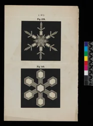 Snow Crystals