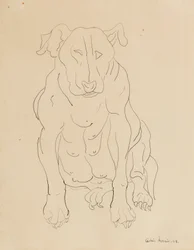 Nancy Morris’s bull dog