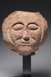 Head