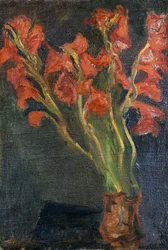 Gladioli