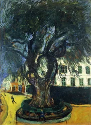 The Tree in Vence