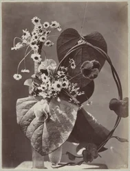 Flower Study with Glass Vases