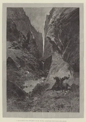 Wild Darrie, by Christie Murray and H. Herman