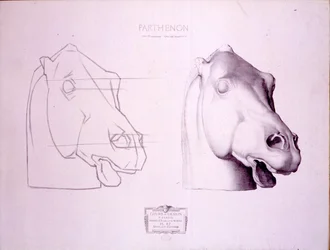 Horse Head from the West Pediment of the Parthenon, Plate 47 from Cours de Dessin