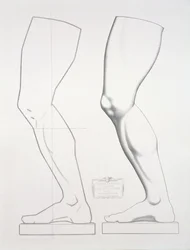 Leg of Germanicus, plate 25 from Cours du Dessin Volume I: Modeles dapres la bosse, c.1868