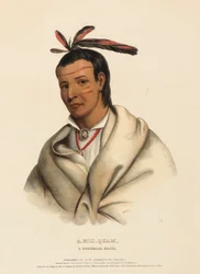 A-MIS-QUAM, A WINNEBAGO BRAVE, from History of Indian Tribes of North America