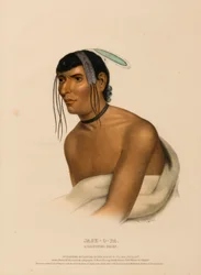 Jack-O-Pa, a Chippewa Chief, from History of the Indian Tribes of North America