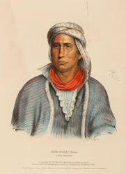 Kee-She-Waa, a Fox Warrior, from History of the Indian Tribes of North America