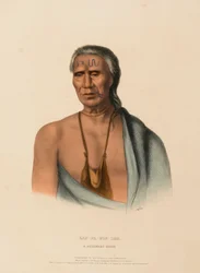 LAP-PA-WIN-SOE. A DELAWARE CHIEF., from History of the Indian Tribes of North America