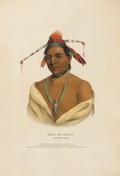 Mar-ko-me-te - A Menominee Brave