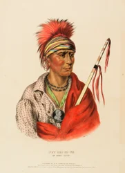 Not-Chi-Mi-Ne, an Ioway Chief, from History of the Indian Tribes of North America