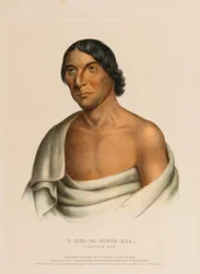O-Hya-Wa-Mince-Kee, a Chippewa Chief, from History of the Indian Tribes of North America