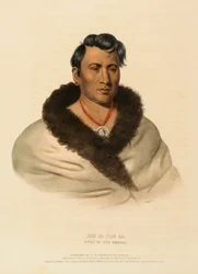 ONG PA TON GA. CHIEF OF THE OMAHAS, from History of the Indian Tribes of North America