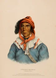 Tulcee-Mathla, a Seminole Chief, from History of the Indian Tribes of North America