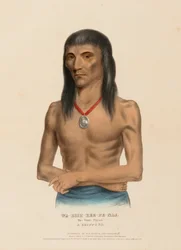 WA-BISH-KEE-PE-NAS. The White Pigeon. A CHIPPEWA, from History of the Indian Tribes of North America