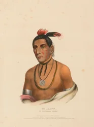 WA-KAWN, A WINNEBAGO CHIEF, from History of the Indian Tribes of North America