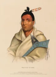 WAA-TOP-E-NOT, from History of the Indian Tribes of North America