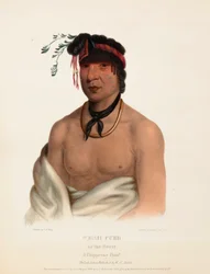 Wesh-Cubb, a Chippeway Chief, from History of the Indian Tribes of North America