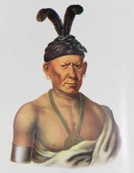 Wakechai or 