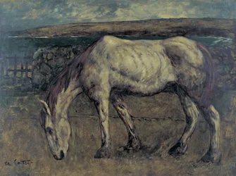 Old Horse in the Wasteland