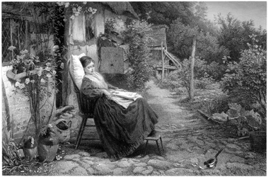 The Convalescent