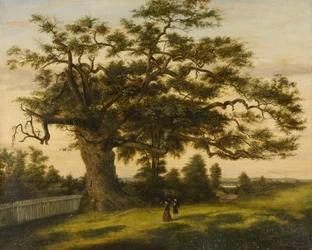 The Charter Oak
