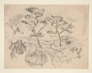 Landscape (Bermuda or Provincetown?)
