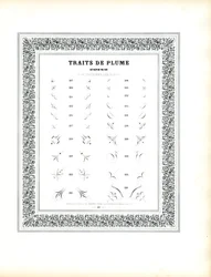 Calligraphic Corner Elements - Traits de Plume Coins